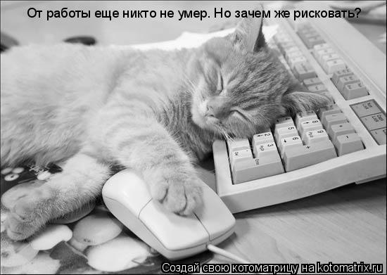 От работы еще никто не умер. Но зачем же рисковать?... Котоматрица: От работы еще никто не умер. Но зачем же рисковать?