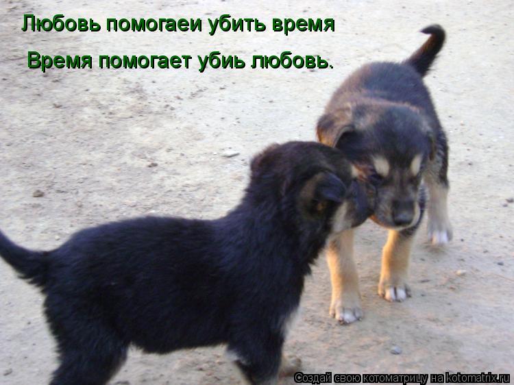 Котоматрица: Любовь помогаеи убить время Время помогает убиь любовь.