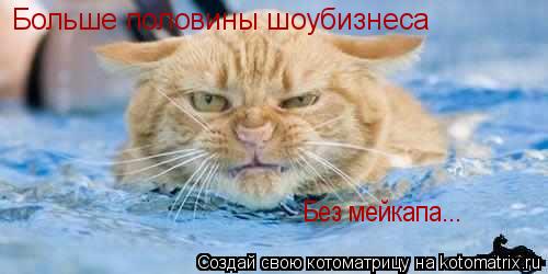 Котоматрица: Больше половины шоубизнеса  Без мейкапа...