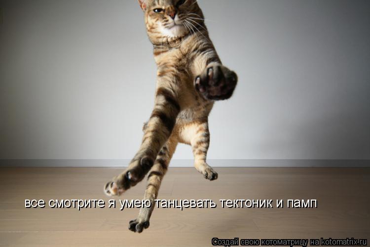 все смотрите я умею танцевать тектоник и памп... Котоматрица: все смотрите я умею танцевать тектоник и памп