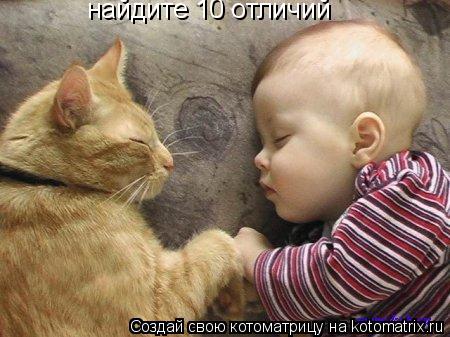 найдите 10 отличий... Котоматрица: найдите 10 отличий