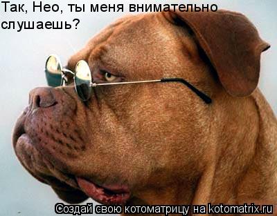 Котоматрица: Так, Нео, ты меня внимательно  слушаешь?