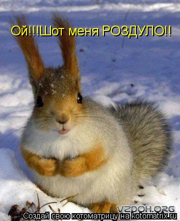 Котоматрица: Ой!!!Шот меня РОЗДУЛО!!