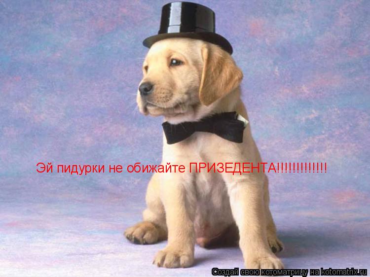 Котоматрица: Эй пидурки не обижайте ПРИЗЕДЕНТА!!!!!!!!!!!!!