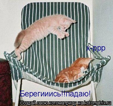 Котоматрица: Берегииись!!падаю! х-ррр
