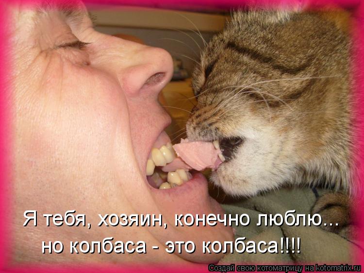 Котоматрица: Я тебя, хозяин, конечно люблю... но колбаса - это колбаса!!!!