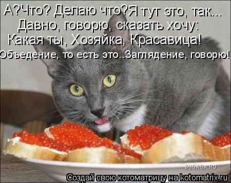 Котоматрица: А?Что? Делаю что?  Я тут это, так...  Давно, говорю, сказать хочу: Какая ты, Хозяйка, Красавица! Объедение, то есть это..Заглядение, говорю!
