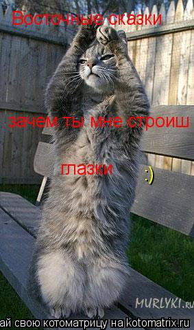 Котоматрица: Восточные сказки зачем ты мне строиш глазки :)