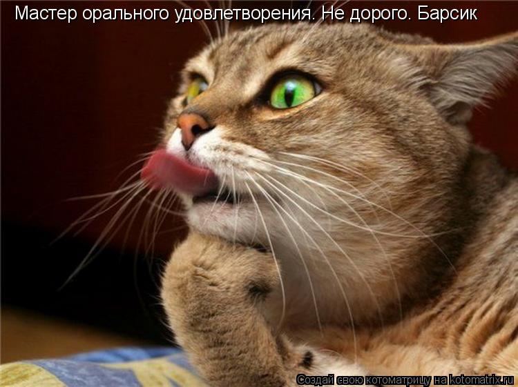 Мастер орального удовлетворения. Не дорого. Барсик... Котоматрица: Мастер орального удовлетворения. Не дорого. Барсик