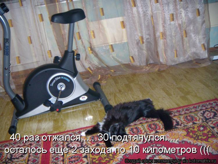 Котоматрица: 40 раз отжался......30 подтянулся..... осталось еще 2 захода по 10 километров (((