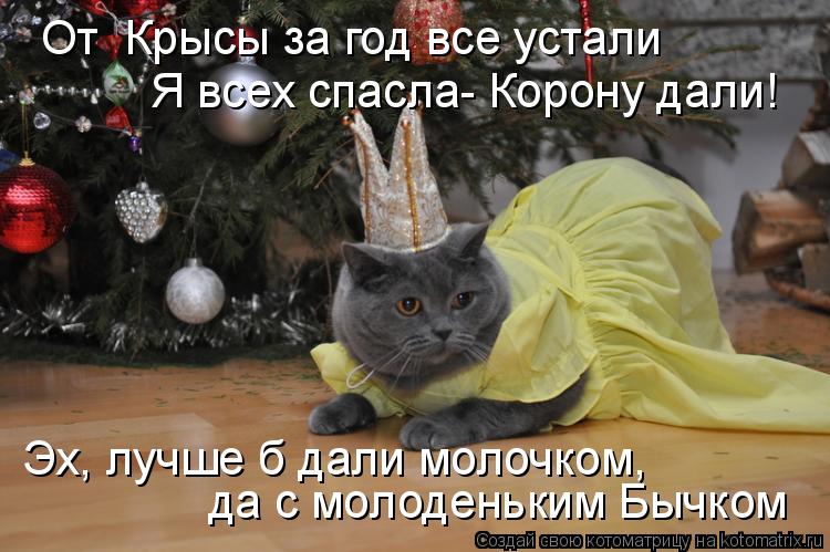 Котоматрица: От  Крысы за год все устали Я всех спасла- Корону дали! да с молоденьким Бычком Эх, лучше б дали молочком,