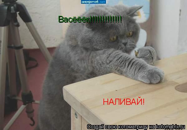 Васёёёк!!!!!!!!!!!!! НАЛИВАЙ!... Котоматрица: Васёёёк!!!!!!!!!!!!! НАЛИВАЙ!