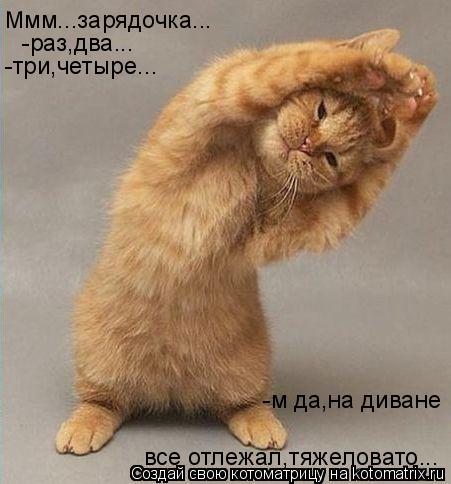 -три,четыре... Ммм...зарядочка... -раз,два... все отлежал,тяжеловато... -м да,на диване... Котоматрица: -три,четыре... Ммм...зарядочка... -раз,два... все отлежал,тяжеловато... -м да,на диване