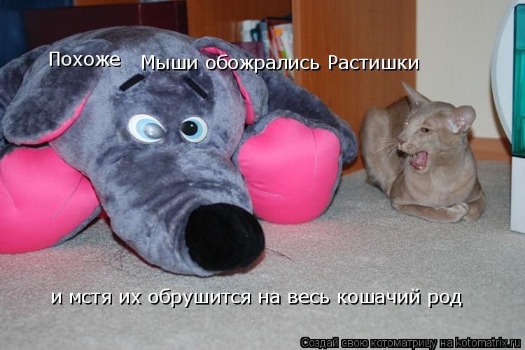 Котоматрица: Мыши обожрались Растишки и мстя их обрушится на весь кошачий род Похоже