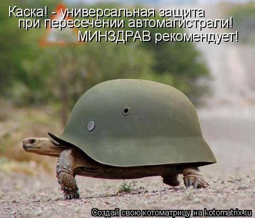 Котоматрица: Каска! - универсальная защита МИНЗДРАВ рекомендует! при пересечении автомагистрали!