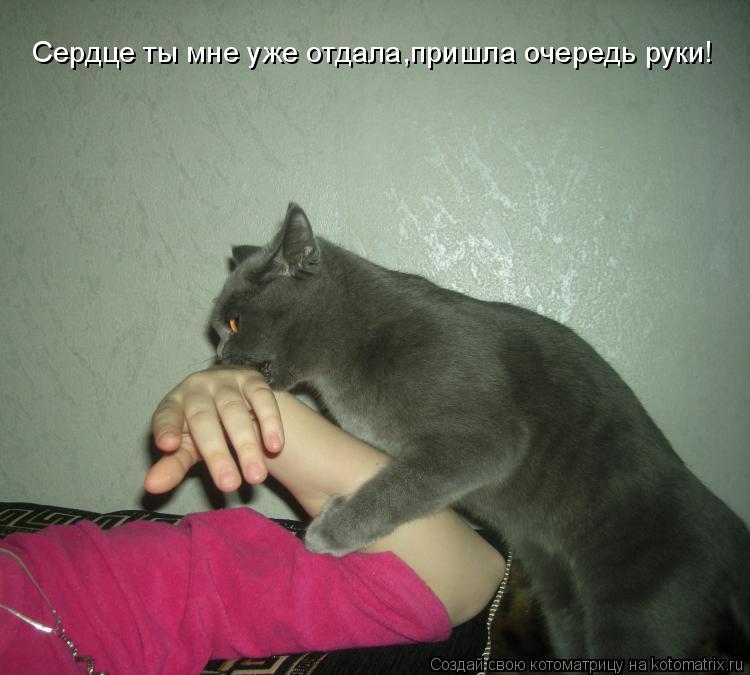 Котоматрица: Сердце ты мне уже отдала,пришла очередь руки!
