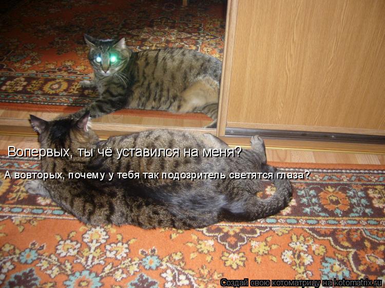 Котоматрица: Вопервых, ты чё уставился на меня? А вовторых, почему у тебя так подозритель светятся глаза?