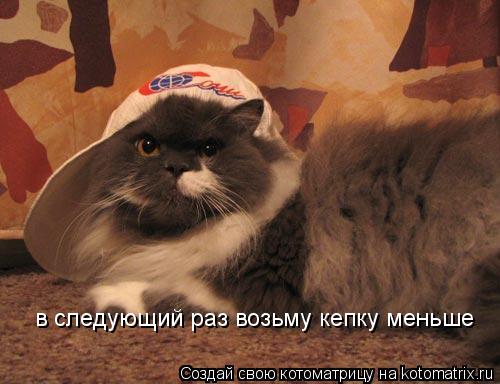 Котоматрица: в следующий раз возьму кепку меньше