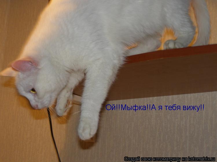 Котоматрица: Ой!!Мыфка!!А я тебя вижу!!