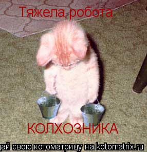 Котоматрица: Тяжела робота КОЛХОЗНИКА