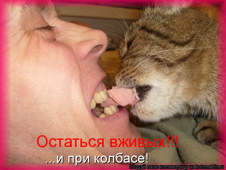 Котоматрица: Остаться вживых!!!  ...и при колбасе!