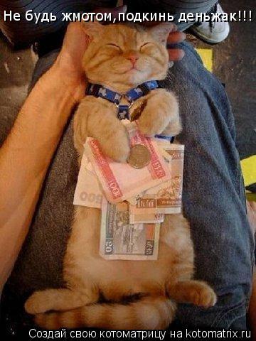 Котоматрица: Не будь жмотом,подкинь деньжак!!!