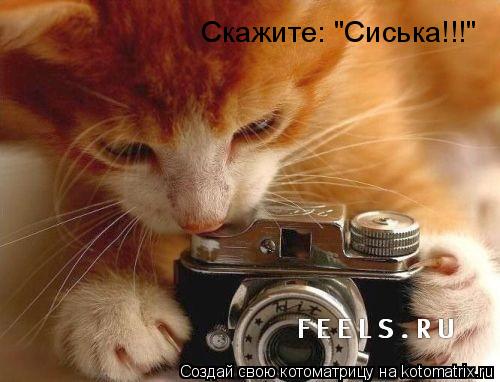 Котоматрица: Скажите: "Сиська!!!"