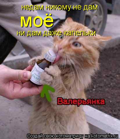 Котоматрица: недам никому не дам моё ни дам даже капельки