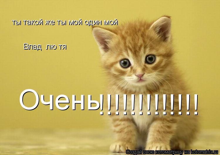 Котоматрица: ты такой же ты мой один мой Влад  лю тя Очень !!!!!!!!!!!!!
