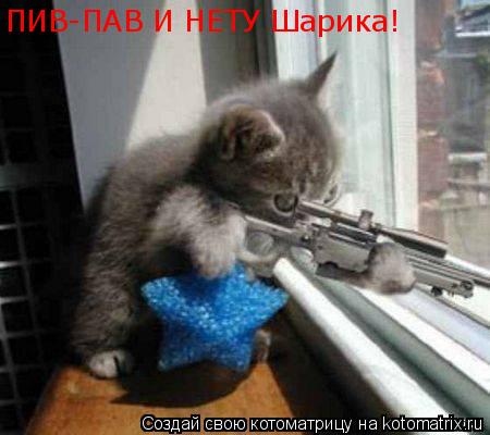 Котоматрица: ПИВ-ПАВ И НЕТУ Шарика!