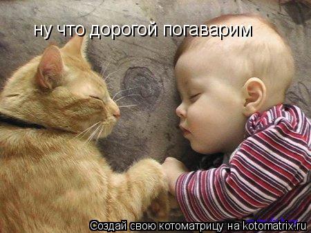Котоматрица: ну что дорогой погаварим