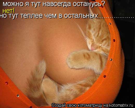Котоматрица: можно я тут навсегда останусь? нет! но тут теплее чем в остальных.....................