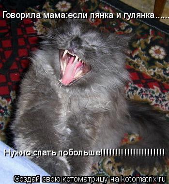 Говорила мама:если пянка и гулянка.......... Нужно спать побольше!!!!!!!!!!!!!!!!!!!!!!... Котоматрица: Говорила мама:если пянка и гулянка.......... Нужно спать побольше!!!!!!!!!!!!!!!!!!!!!!