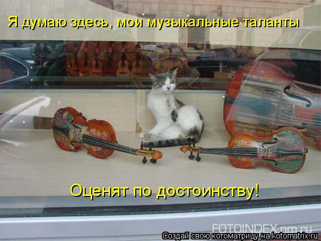 Я думаю здесь, мои музыкальные таланты Оценят по достоинству!... Котоматрица: Я думаю здесь, мои музыкальные таланты Оценят по достоинству!
