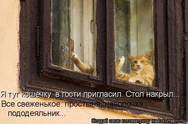 Котоматрица: Я тут кошечку  в гости пригласил. Стол накрыл... Все свеженькое: простыня, наволочка ,  пододеяльник...