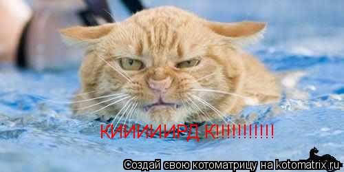 КИИИИИРДІК!!!!!!!!!!!... Котоматрица: КИИИИИРДІК!!!!!!!!!!!