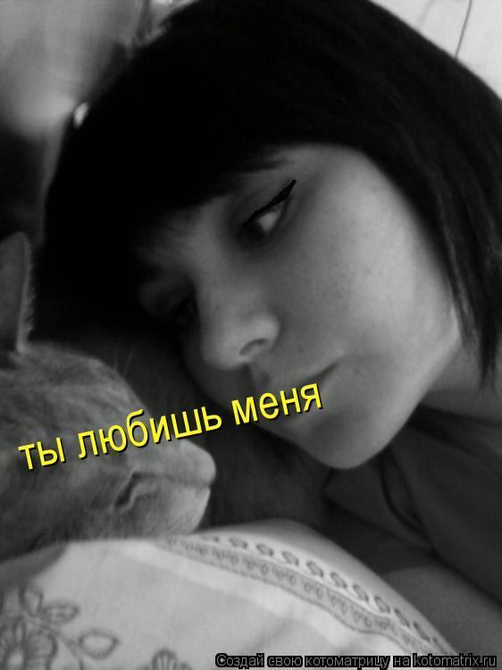 Котоматрица: ты любишь меня