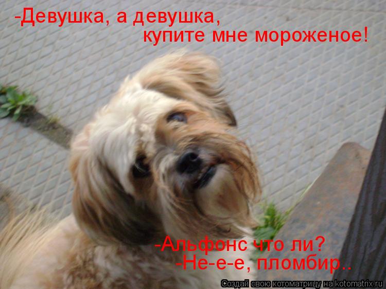 -Девушка, а девушка, купите мне мороженое! -Альфонс что ли? -Не-е-е, пломбир..... Котоматрица: -Девушка, а девушка, купите мне мороженое! -Альфонс что ли? -Не-е-е, пломбир..