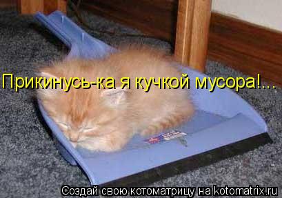 Котоматрица: Прикинусь-ка я кучкой мусора!...