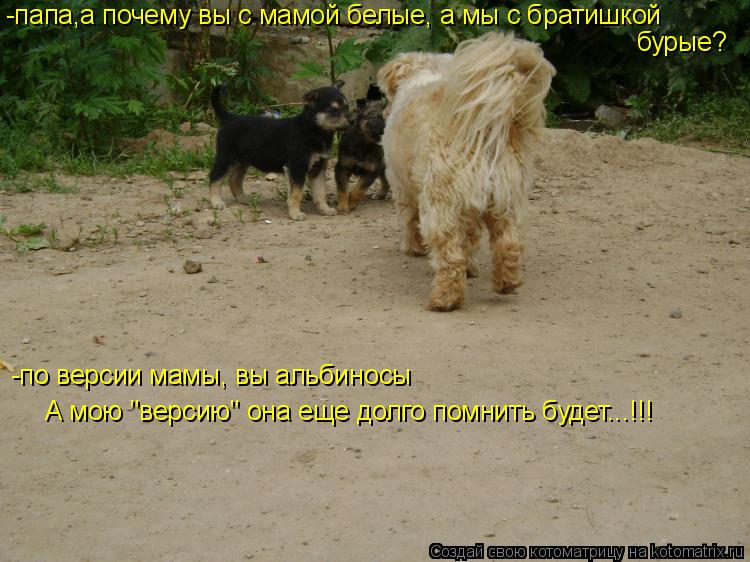 -папа,а почему вы с мамой белые, а мы с братишкой бурые? -по версии мамы, вы альбиносы А мою "версию"... Котоматрица: -папа,а почему вы с мамой белые, а мы с братишкой бурые? -по версии мамы, вы альбиносы А мою "версию" она еще долго помнить будет...!!!