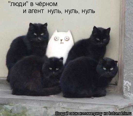 Котоматрица: "люди" в чёрном и агент  нуль, нуль, нуль .