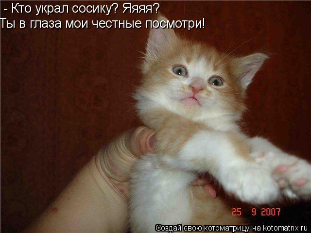 - Кто украл сосику? Яяяя? Ты в глаза мои честные посмотри!... Котоматрица: - Кто украл сосику? Яяяя? Ты в глаза мои честные посмотри!