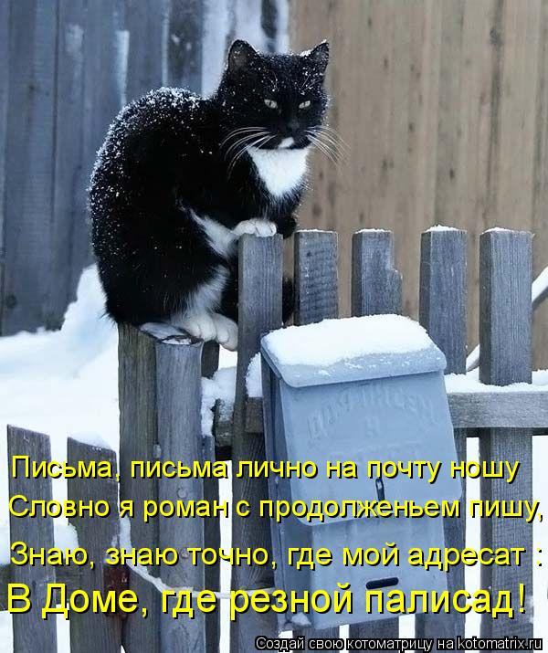 Письма, письма лично на почту ношу Словно я роман с продолженьем пишу, Знаю, знаю точно, где мой ад... Котоматрица: Письма, письма лично на почту ношу Словно я роман с продолженьем пишу, Знаю, знаю точно, где мой адресат : В Доме, где резной палисад!