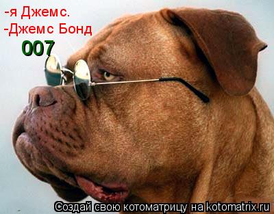 -я Джемс. -Джемс Бонд 007... Котоматрица: -я Джемс. -Джемс Бонд 007