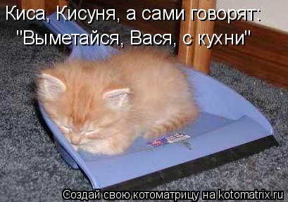 "Выметайся, Вася, с кухни" Киса, Кисуня, а сами говорят:... Котоматрица: "Выметайся, Вася, с кухни" Киса, Кисуня, а сами говорят: