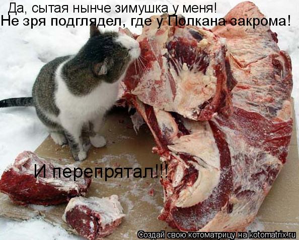 Котоматрица: Да, сытая нынче зимушка у меня! Не зря подглядел, где у Полкана закрома! И перепрятал!!!