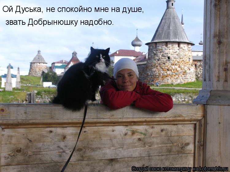 Ой Дуська, не спокойно мне на душе, звать Добрынюшку надобно.... Котоматрица: Ой Дуська, не спокойно мне на душе, звать Добрынюшку надобно.