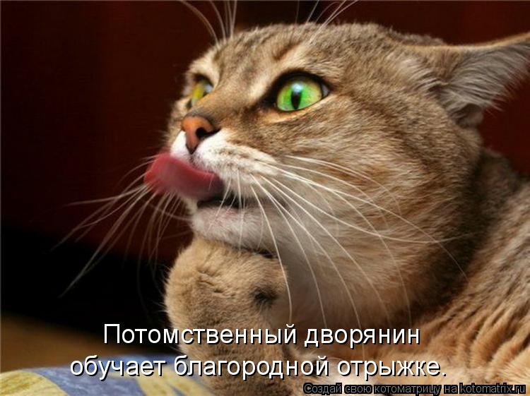 Потомственный дворянин обучает благородной отрыжке.... Котоматрица: Потомственный дворянин обучает благородной отрыжке.