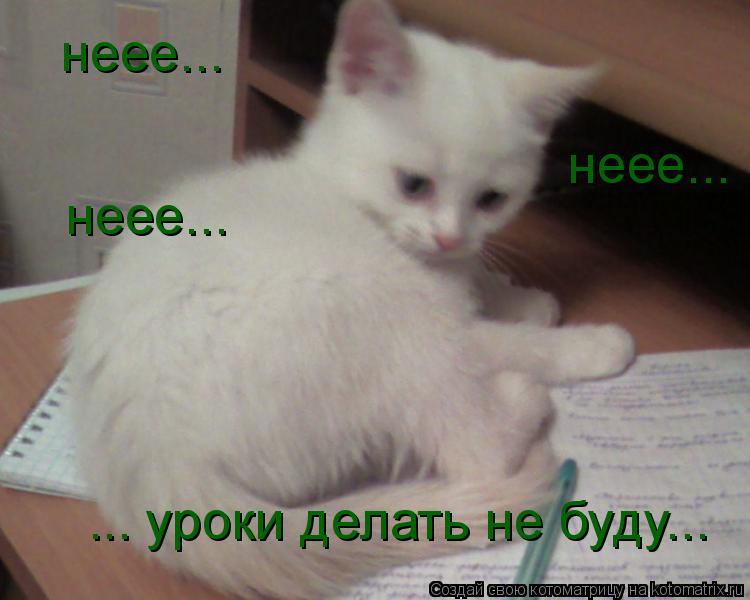 Котоматрица: неее... неее... неее... ... уроки делать не буду...