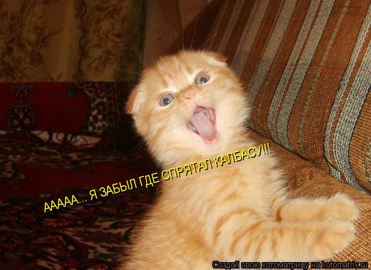Котоматрица: ААААА... Я ЗАБЫЛ ГДЕ СПРЯТАЛ КАЛБАСУ!!!